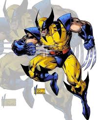 Image result for wolverine