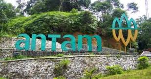 Terjemahan frasa fokus utama dari bahasa indonesia ke bahasa inggris dan contoh penggunaan fokus utama dalam kalimat dengan terjemahannya: Lingkungan Fokus Utama Kegiatan Operasional Antam Swa Co Id