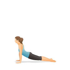 Yoga Pose Upward Facing Dog Ioga Pilates Fisicos