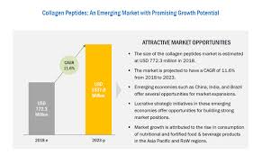 Market Leaders High Consumption Of Nutritional Products Influencing The Demand For Collagen Peptide Collagen Peptides Collagen Peptides