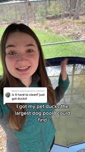 Duck Pool Using Dog Pool