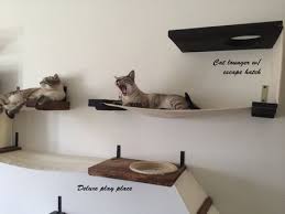 The best gifs are on giphy. 41 Catwalk Ideas Cat Furniture Cat Room Crazy Cats