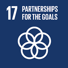 Strengthen the means of implementation and revitalize the global partnership for sustainable development the sdg targets 17.1 strengthen domestic resource mobilization, including through international support to developing countries, to improve domestic capacity for tax and other revenue collection Goal 17 Department Of Economic And Social Affairs