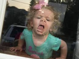 Microfiber Cleaning Cloths for Household Use