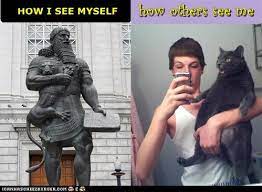 How I See Myself Vs How Others See Me I Can Has Cheezburger