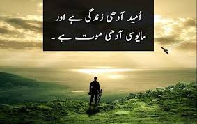 38 Powerful Urdu Quotes About Life Hope Struggle And People Motivational Quotes In Urdu Best Quotes In Urdu Urdu Poetry