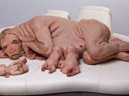 Patricia piccinini at the 50th biennale of venice linda michael. Patricia Piccinini Joy Hester Through Love Art In Melbourne