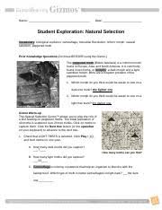 I've also made 17 full investigation questions which are also excellent starting points for explorations. Naturalselectionse 1 Doc Name Date Student Exploration Natural Selection Vocabulary Biological Evolution Camouflage Industrial Revolution Lichen Course Hero