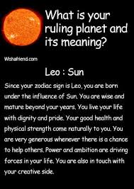 Pin On My Life As A Leo
