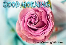 Good morning images rose flowers hd. 30 Good Morning Rose Images Photo For Whatsapp Facebook Pinterest