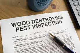 Reap carefully prror to complettng this office of pest. What Is A Wood Destroying Insect Inspection Report University Termite