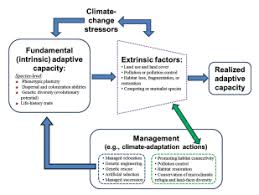 Species Climate Change Adaptive Capacity Climate Change