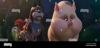 RELEASE DATE: July 29, 2022 TITLE: DC League of Super-Pets STUDIO: DC  Entertainment. DIRECTOR: Jared Stern, Sam Levine. PLOT: Krypto the  Super-Dog and Superman are inseparable best friends, sharing the same  superpowers