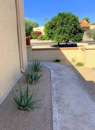 We did not find results for: Pin On Home Inspo Xeriscaping