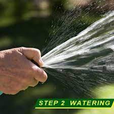 Biodegradable Grass Seed Mat In 2021 Grass Seed Mat Grass Seed Biodegradable Products