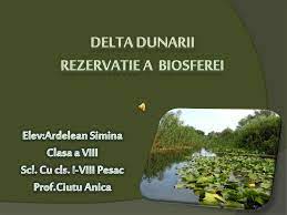 Delta dunării se încadrează în spațiul cu climat temperat semiarid specific stepelor pontice. Ppt Delta Dunarii Rezervatie A Biosferei Powerpoint Presentation Free Download Id 930187