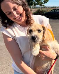 🚐🐾💚 Another trip saves 31 dogs! #transportsaveslives