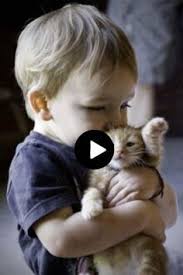 Funnycat Funnydog Bestpins Funnyanimal Lovelypins Prank Funny In 2020 Funny Animal Videos Funny Animals Cute Funny Babies
