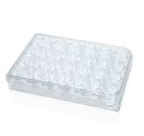 Costar® 24-Well Flat-Bottom Plate, Tissue Culture-Treated