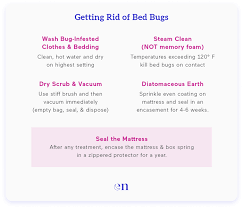 How To Get Rid Of Bed Bugs In A Mattress Eachnight