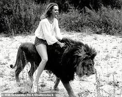 This agitated the lion and caused it to start roaring and attacking the burglars. Hollywood Legend Tippi Hedren The Original Lion Queen Who Had An Obsession With Big Cats Daily Mail Online