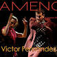 Flamenco Express with Victor Fernández event image