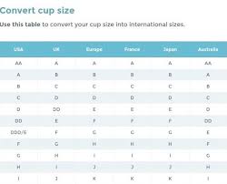 ddd bra size chart buurtsite net