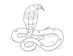 Free printable wild animals king cobra snake coloring pages for kids. King Cobra Coloring Page By Mama Draw It Teachers Pay Teachers