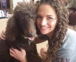 If you find a breeder in dallas / fort worth, texas or an online advertisement on craigslist advertising a litter of puppies for free or to a good home for free then run, do not walk away. Doodle Rescues In Texas Top 6 Picks 2021 We Love Doodles