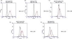 ASS1 expression in HL60 (A), ML1 (B), TF1-HaRas (C), TF1-vSrc (D ...