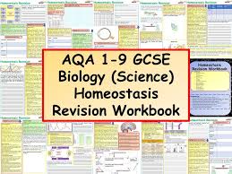 Ks4 Aqa Gcse Biology Science Homeostasis Revision Knowledge Organiser Biology Biology Notes Aqa