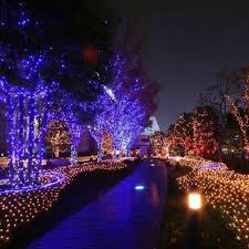 Pin On Christmas Lights