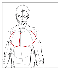 Maybe you would like to learn more about one of these? Paint Draw Paint With Ross Bowns Anatomy Basics The Chest Muscle