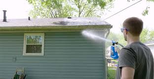 Painting the eaves on your home can totally transform its exterior, and you don't have to call in a professional to get it done. Clean Gutters Chimneys And Eaves With Wet Forget Wet Forget Blog