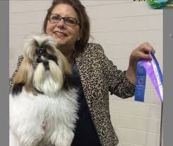 Favorite this post jul 15 small breed puppies (grovespring). About