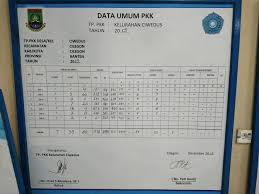 Contoh pengisian buku kegiatan pkk. Contoh Laporan Tahunan Pkk Kecamatan 2019 Nusagates