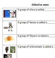 However, the collective noun was most likely inspired by the rhino's tendency to charge at anything unfamiliar, although fights between rhinos are rare because male rhinos (or. Collective Nouns For Grade 6
