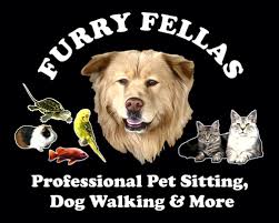 Professional services have a local manager you can. Pet Sitting Dog Walking In Providence Ri By Furry Fellas Pet Service Llc