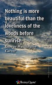Top george washington carver quotes: 33 George Washington Carver Ideas