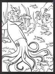 You can even see it from the outer space. Coral Reef Fish Coloring Pages Fish Coloring Page Coral Reef Drawing Coloring Pages