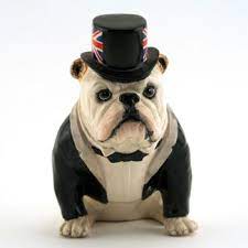 Milano Bulldog British Bulldog Bulldog Breeds