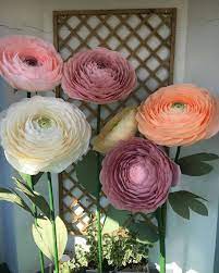 Giant Paper Ranunculus Giant Flower Backdrop Giant Flowers Paper Flower Backdrop