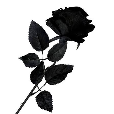 Flor Rosa Artificial Preta Decoração Gótica Halloween.