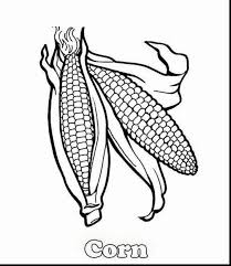 Corn On The Cob Coloring Page Luxury Corn Cob Drawing At Getdrawings Food Coloring Pages Vegetable Coloring Pages Fruit Coloring Pages