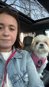 chicken #nuggets #mcdonalds #dog #pet #shihtzu #weekend