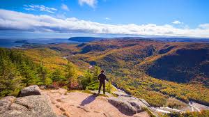 By opting in, your android or iphone device will share anonymous tokens with other co exposure notifications users using your phone's. Covid 19 Coronavirus Updates Tourism Nova Scotia Canada