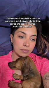 Y bueno Benito Antonio, si somos #BenitoAntonio #foryoupage #paratii  #dachshund