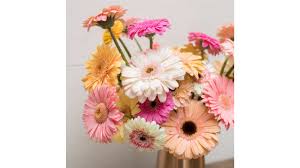 Farmgirl flowers promo code may 2020. Best Online Flowers Flower Delivery Options For Various Occasions Cnn Underscored