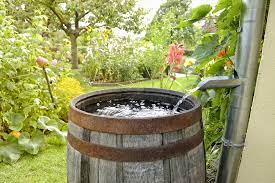 We did not find results for: Diy Systeme D Arrosage Goutte A Goutte Pas Cher