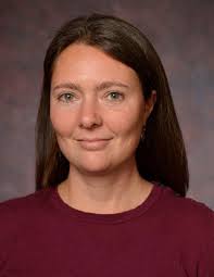 Tracking Nanoparticles Across the Placental Barrier